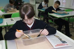 P2-(7)