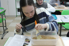 P2-(8)