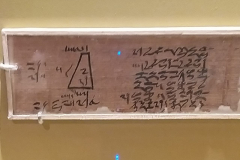 P (16)